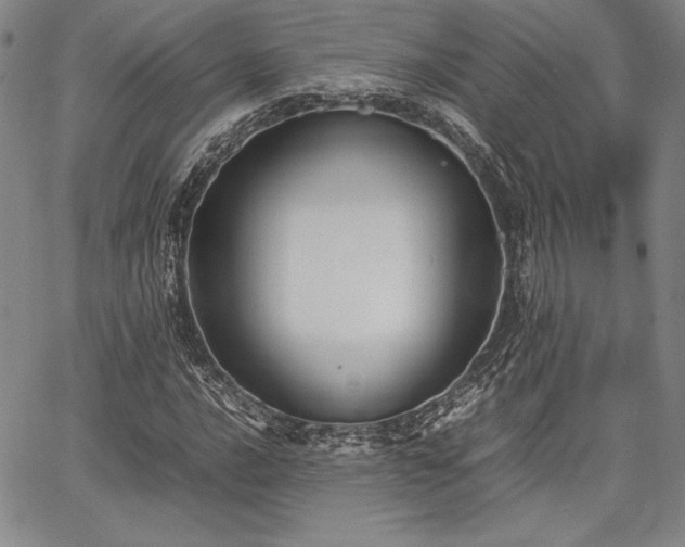 X0000067831016200604131155