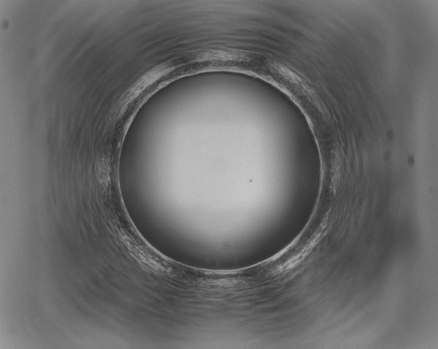 X0000067831017200604131155