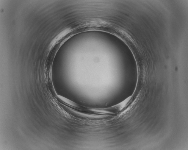 X0000067831018200604131155