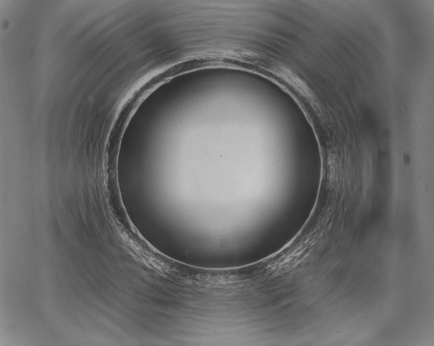 X0000067831020200604131155