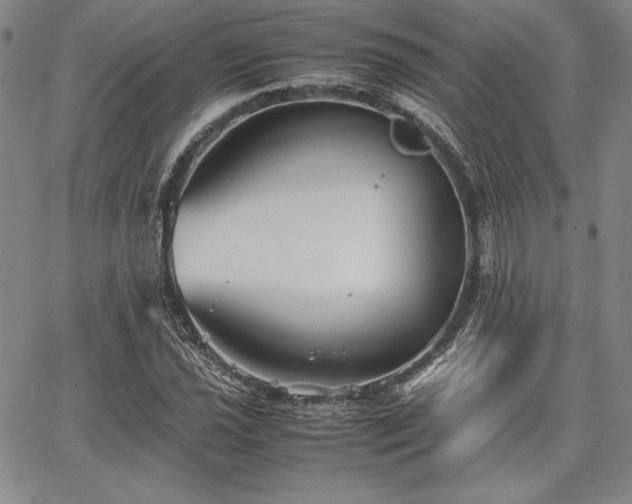 X0000067831021200604131155