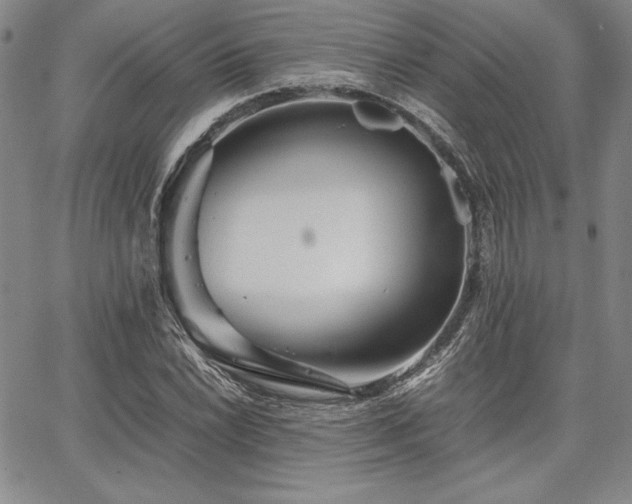 X0000067831022200604131155