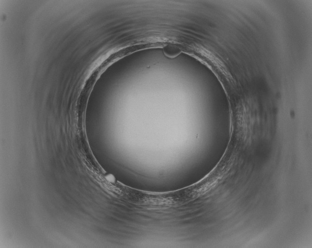 X0000067831023200604131156