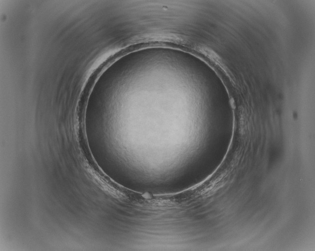 X0000067831024200604131156