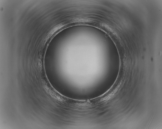 X0000067831025200604131156