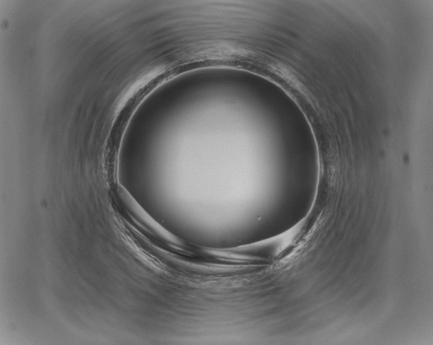 X0000067831026200604131156