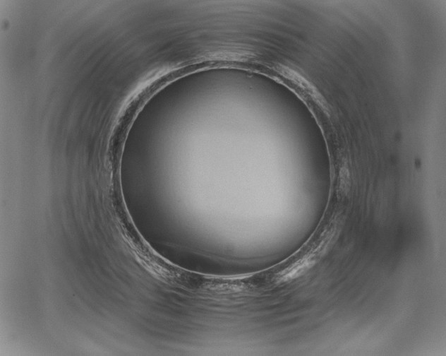 X0000067831027200604131156