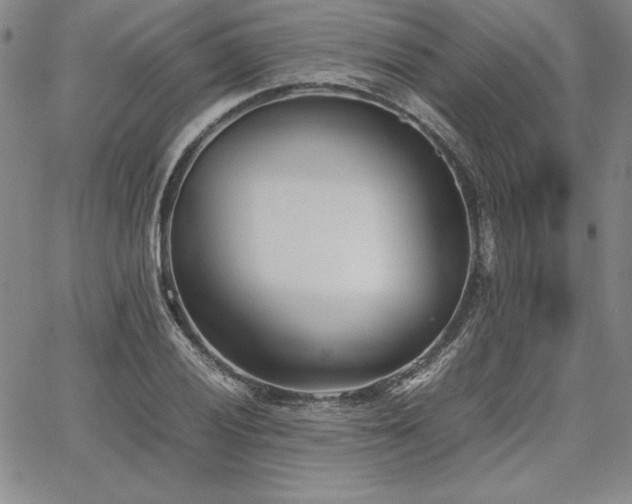 X0000067831028200604131156