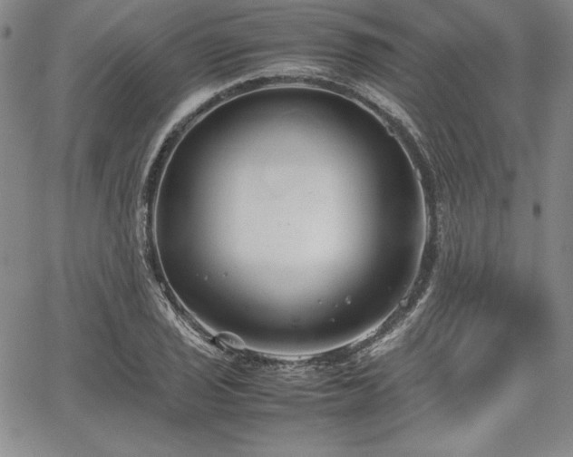 X0000067831029200604131156