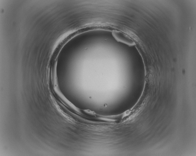 X0000067831030200604131156