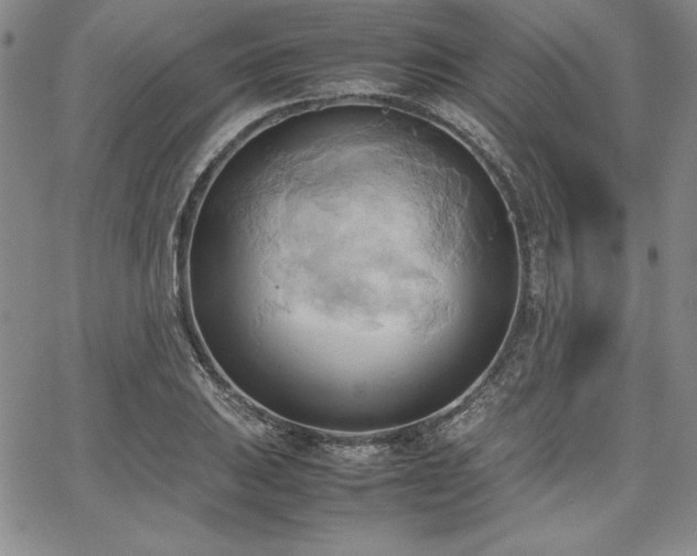 X0000067831031200604131156