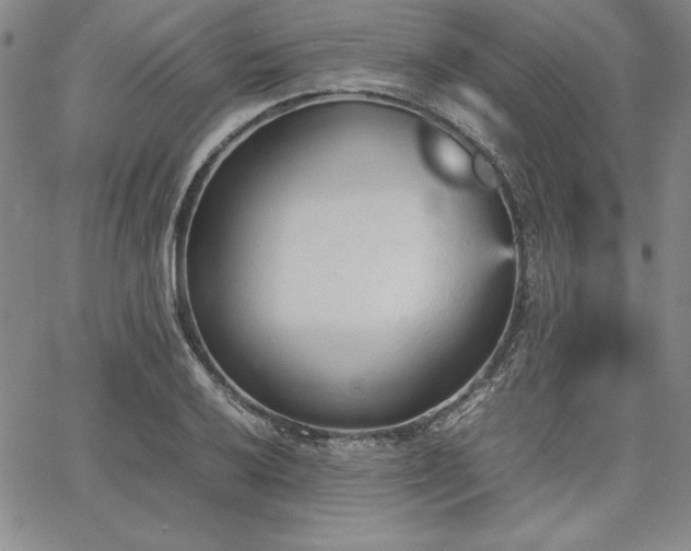 X0000067831032200604131156