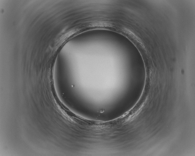 X0000067831033200604131156