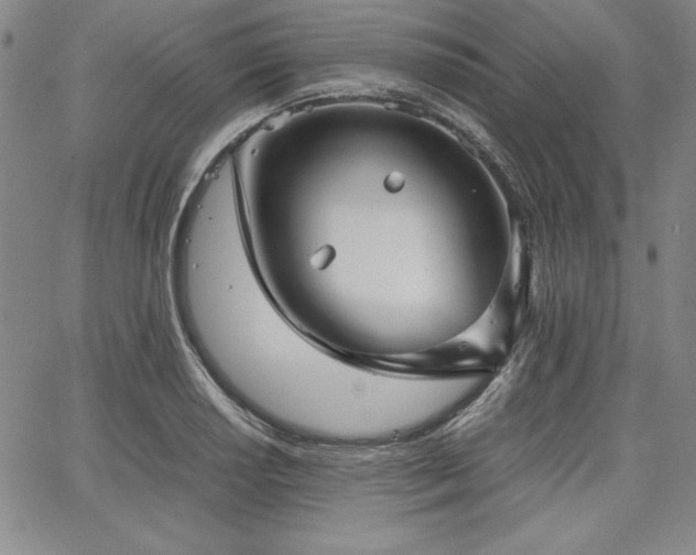 X0000067831034200604131156