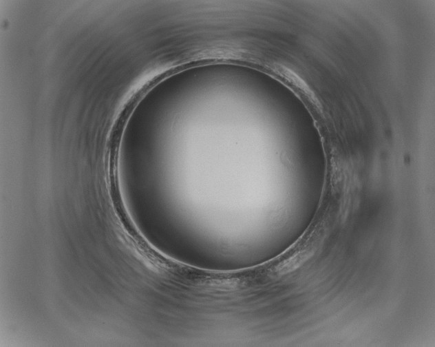 X0000067831035200604131156