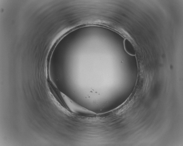 X0000067831036200604131156