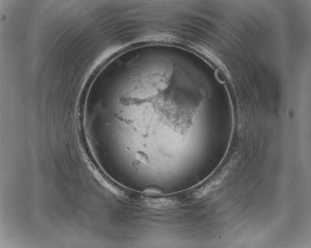 X0000067831037200604131156