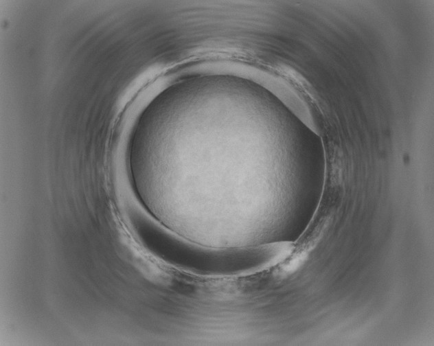 X0000067831038200604131156