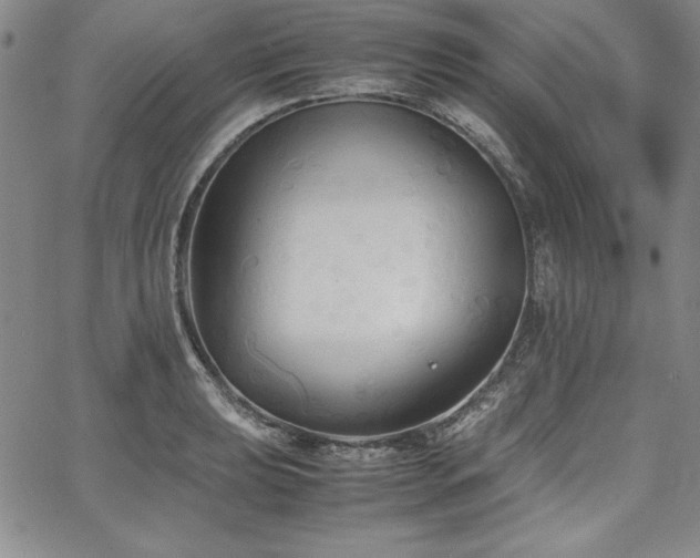 X0000067831039200604131156