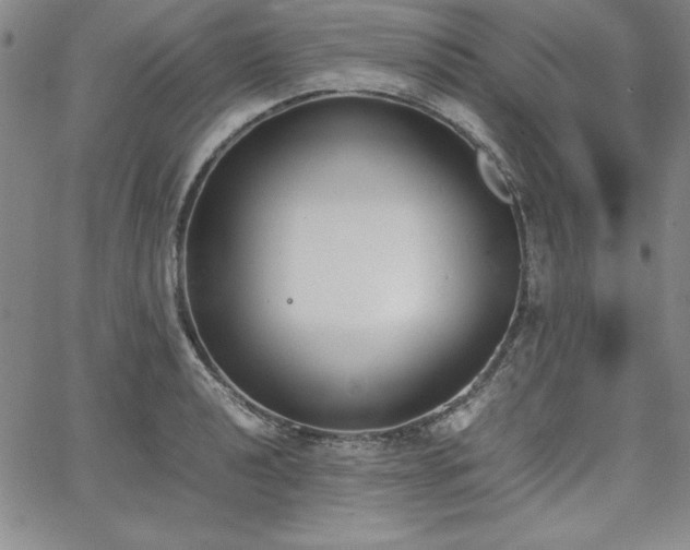 X0000067831040200604131156