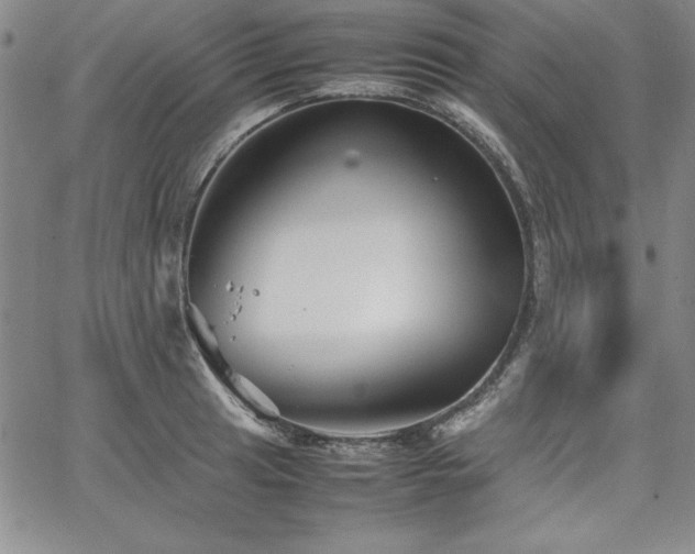 X0000067831041200604131156