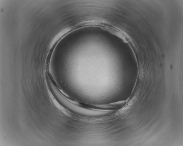 X0000067831042200604131156