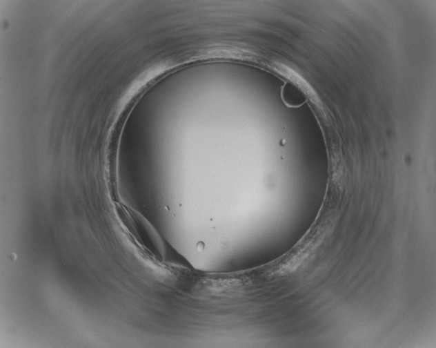 X0000067831043200604131156