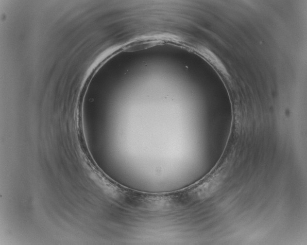 X0000067831044200604131156