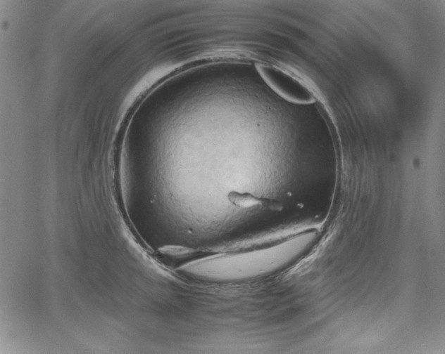 X0000067831045200604131156