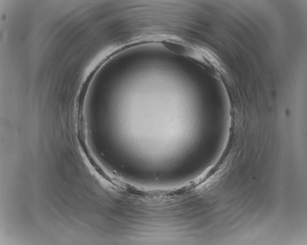 X0000067831046200604131156