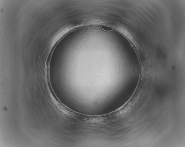 X0000067831047200604131156