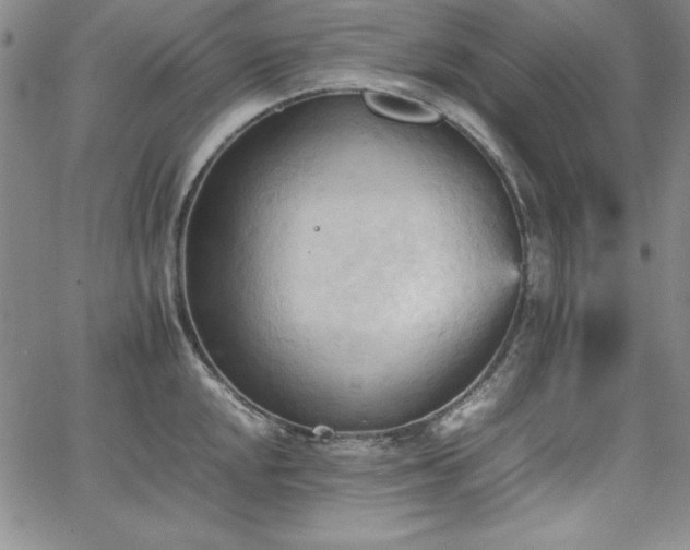 X0000067831048200604131156