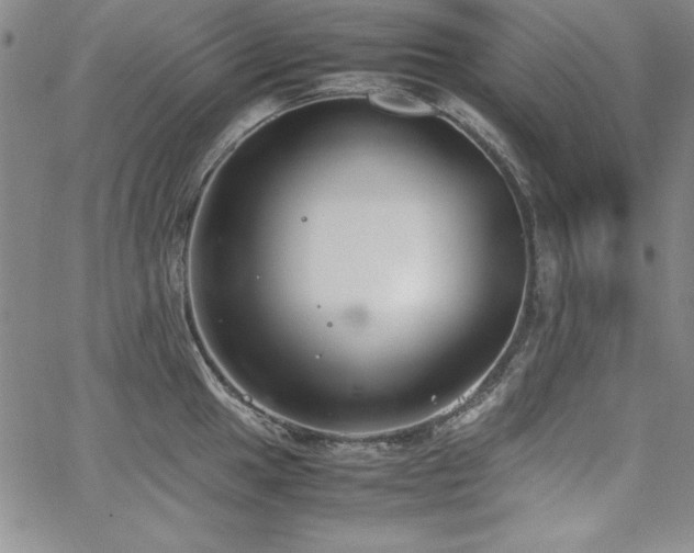 X0000067831049200604131156