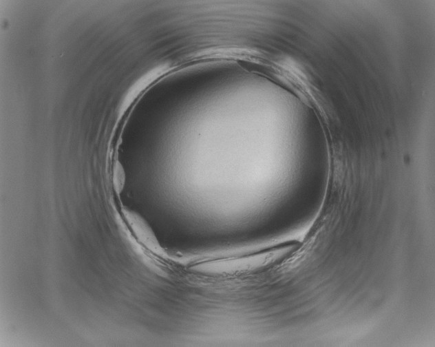 X0000067831050200604131156