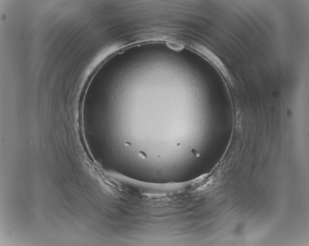 X0000067831051200604131156