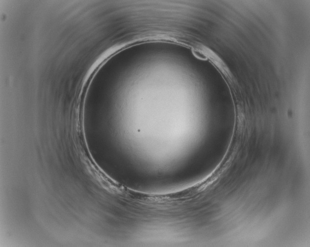 X0000067831052200604131156