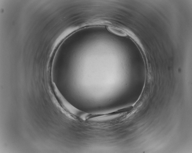 X0000067831053200604131156