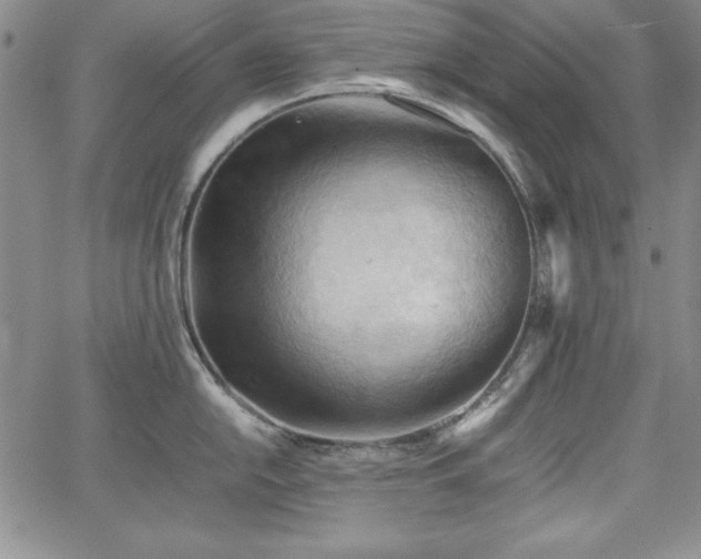 X0000067831054200604131156