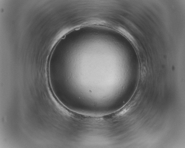 X0000067831055200604131156