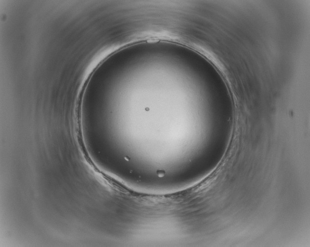 X0000067831056200604131156