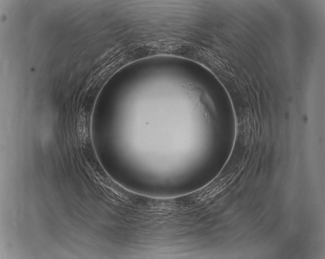 X0000067831058200604131155