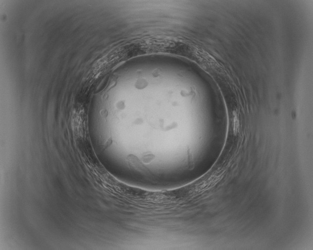 X0000067831059200604131155