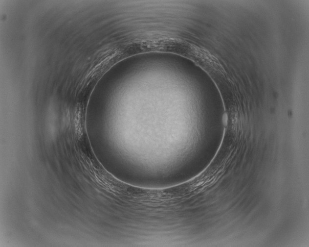 X0000067831060200604131155