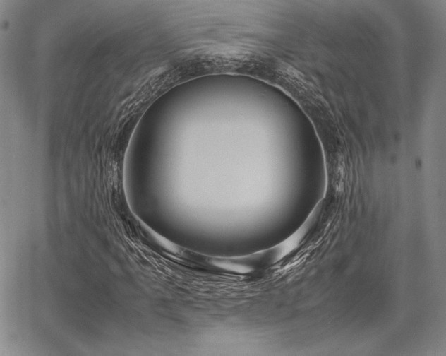 X0000067831061200604131155