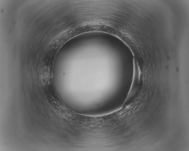 X0000067831062200604131155