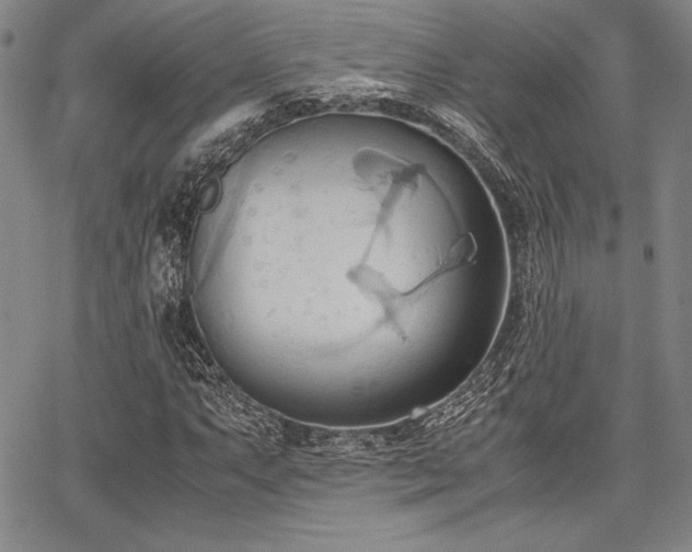 X0000067831063200604131155