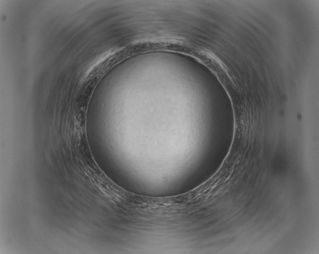 X0000067831064200604131155