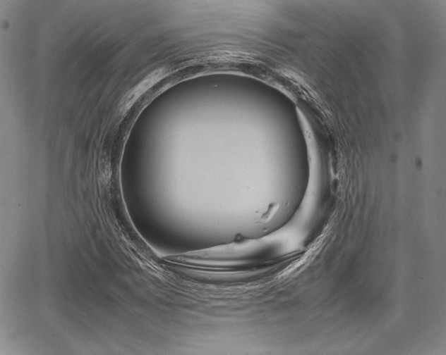 X0000067831065200604131155