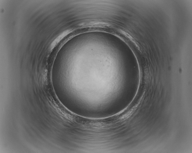 X0000067831066200604131155