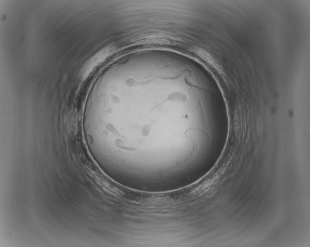 X0000067831067200604131155